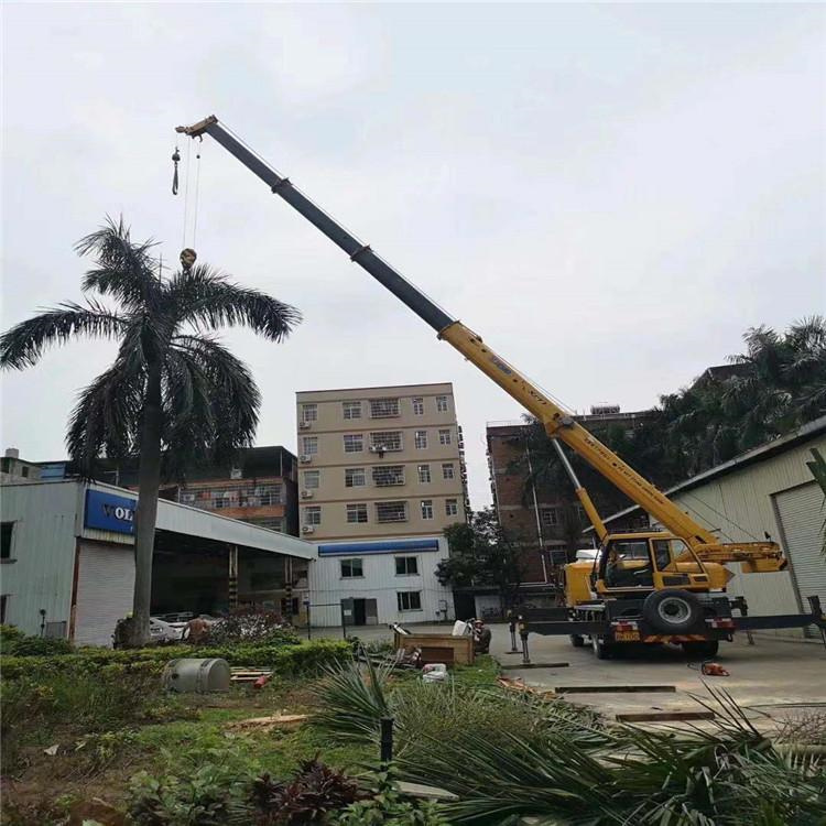 白马井镇汽车吊出租多少钱？全面解析与市场行情